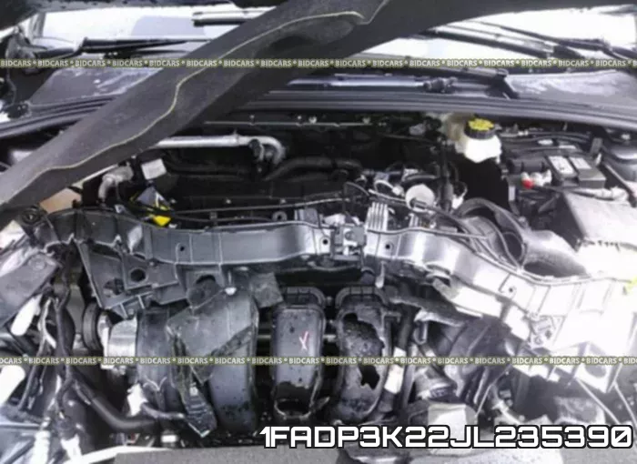 1FADP3K22JL235390 фото 2