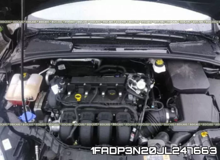 1FADP3N20JL247663 фото 2