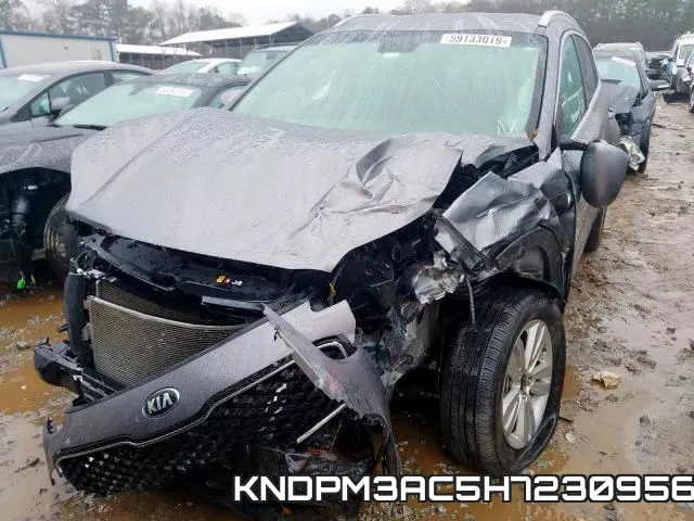KNDPM3AC5H7230956 фото 10