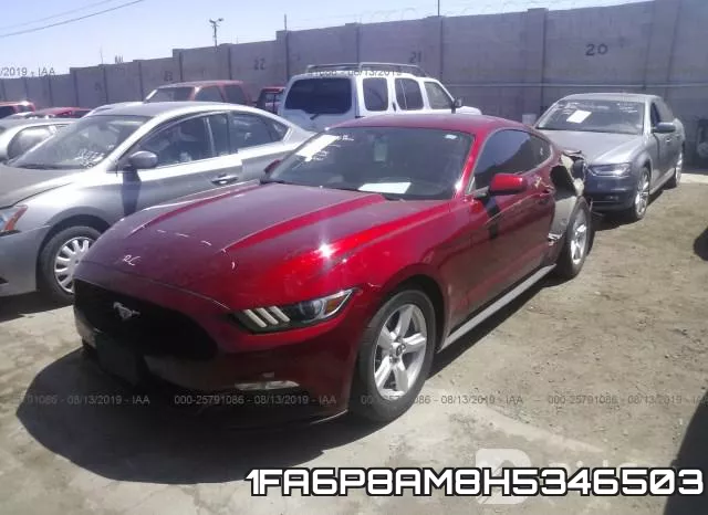 1FA6P8AM8H5346503 фото 3