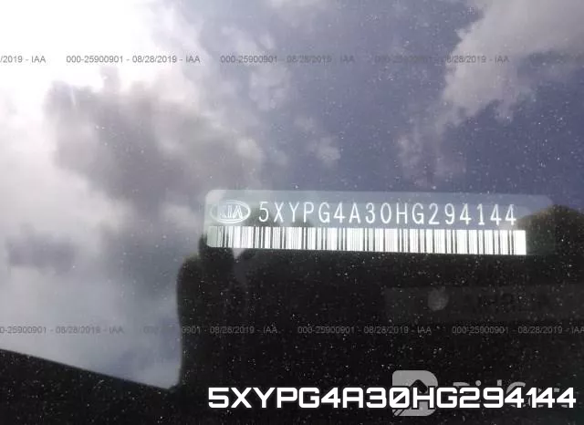 5XYPG4A30HG294144 фото 10