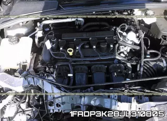 1FADP3K28JL310805 фото 2