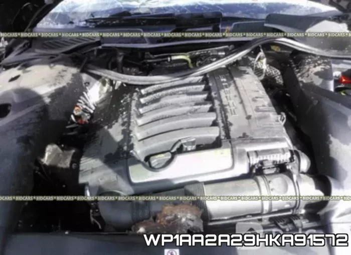WP1AA2A29HKA91572 фото 2