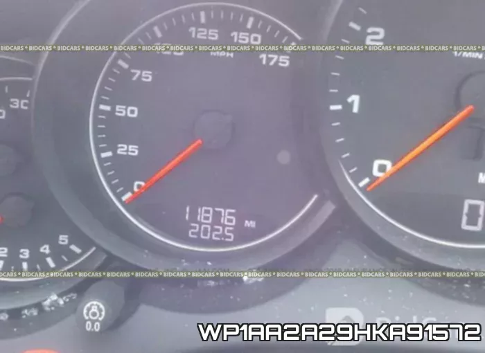 WP1AA2A29HKA91572 фото 8