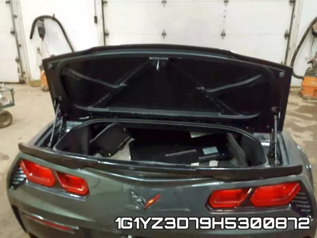 1G1YZ3D79H5300872 фото 7