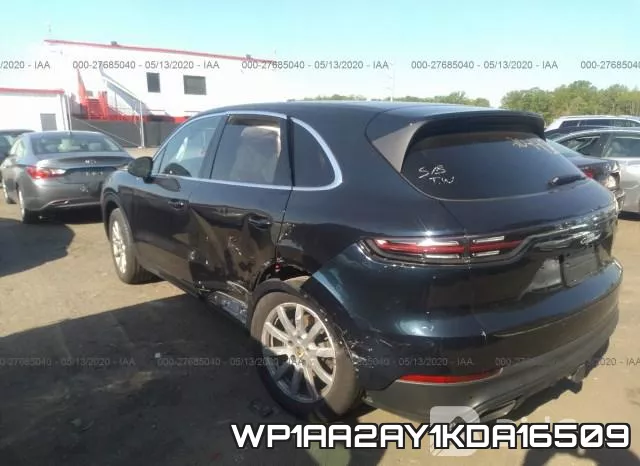WP1AA2AY1KDA16509 фото 4