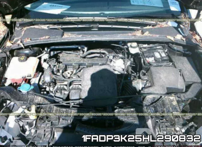1FADP3K25HL290832 фото 2