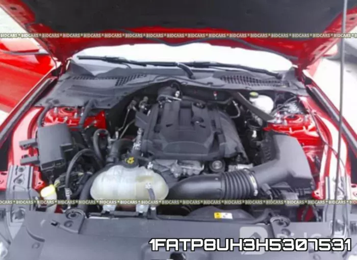 1FATP8UH3H5307531 фото 2