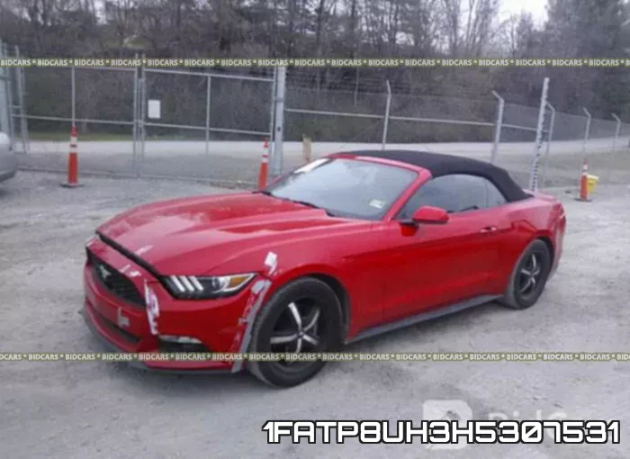 1FATP8UH3H5307531 фото 3