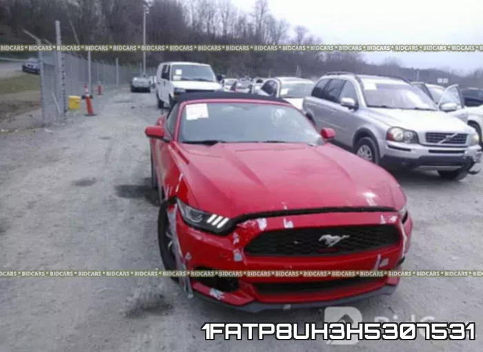 1FATP8UH3H5307531 фото 7