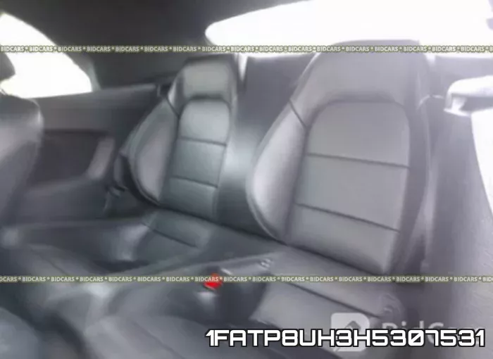 1FATP8UH3H5307531 фото 9