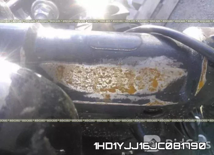 1HD1YJJ16JC081790 фото 2
