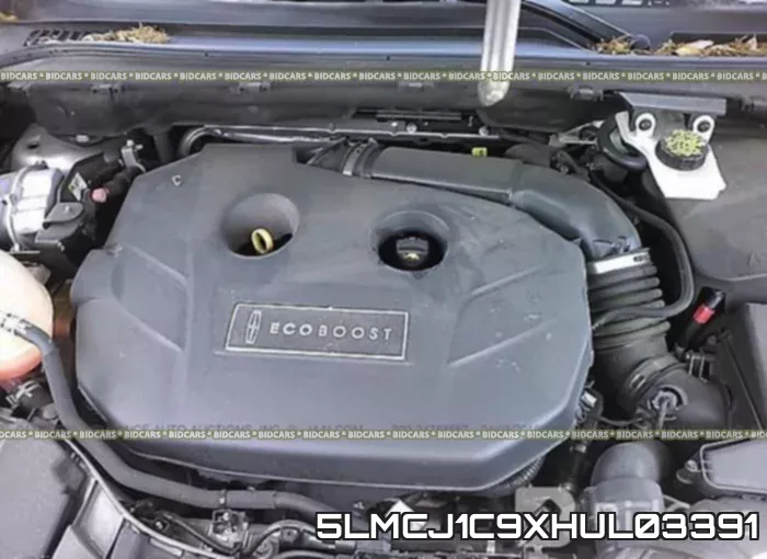 5LMCJ1C9XHUL03391 фото 2