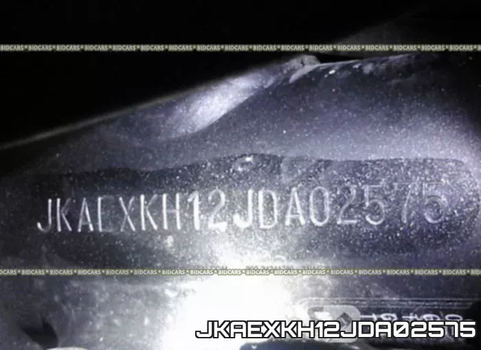 JKAEXKH12JDA02575 фото 2