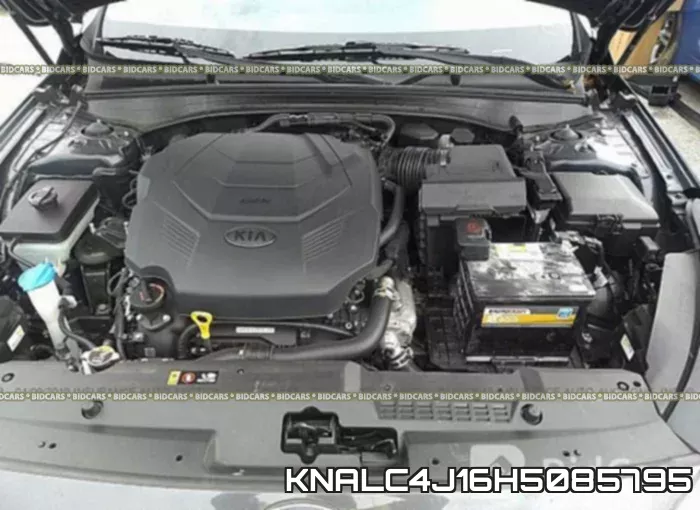 KNALC4J16H5085795 фото 2