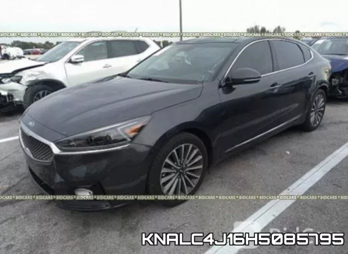 KNALC4J16H5085795 фото 3