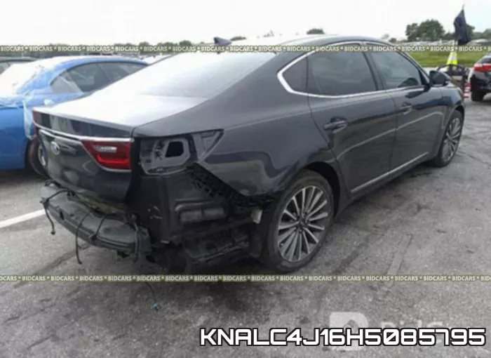 KNALC4J16H5085795 фото 5