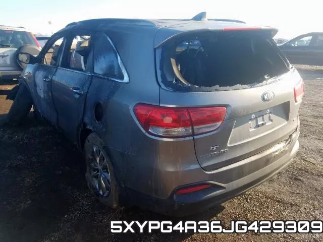 5XYPG4A36JG429309 фото 4