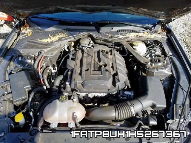 1FATP8UH1H5267367 фото 8