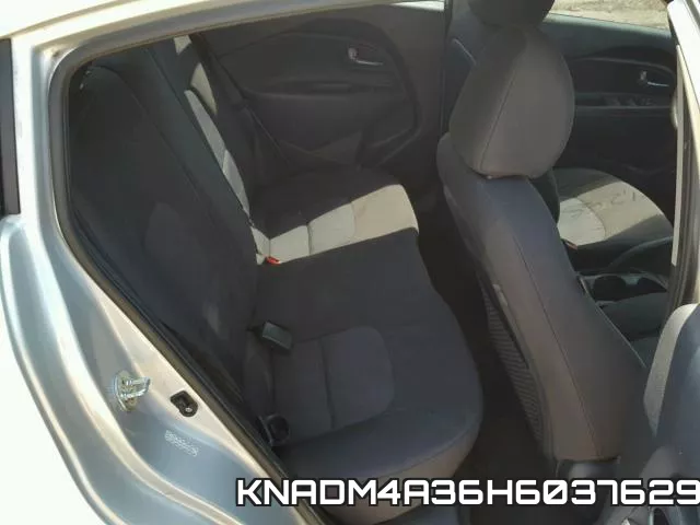 KNADM4A36H6037629 фото 7