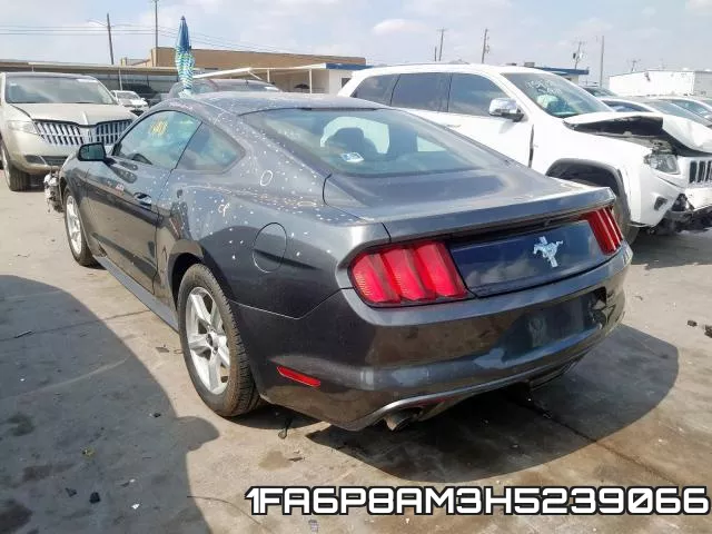 1FA6P8AM3H5239066 фото 4