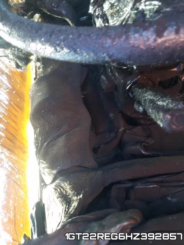 1GT22REG6HZ392857 фото 9