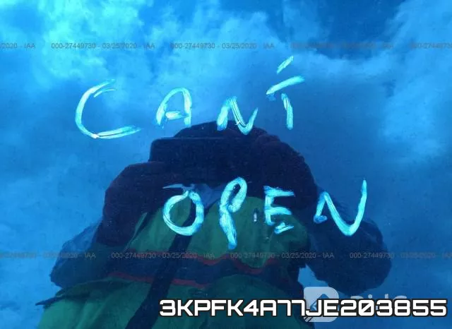 3KPFK4A77JE203855 фото 2
