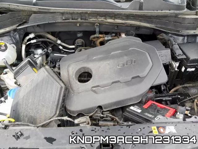 KNDPM3AC9H7231334 фото 8