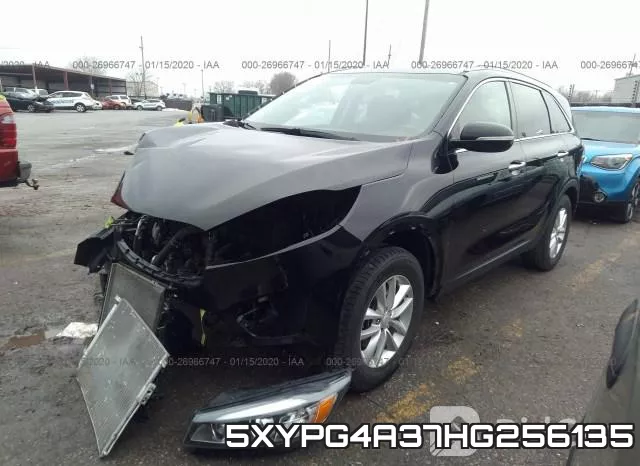 5XYPG4A37HG256135 фото 3