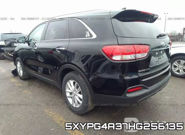 5XYPG4A37HG256135 фото 4