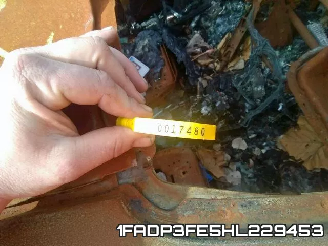 1FADP3FE5HL229453 фото 2