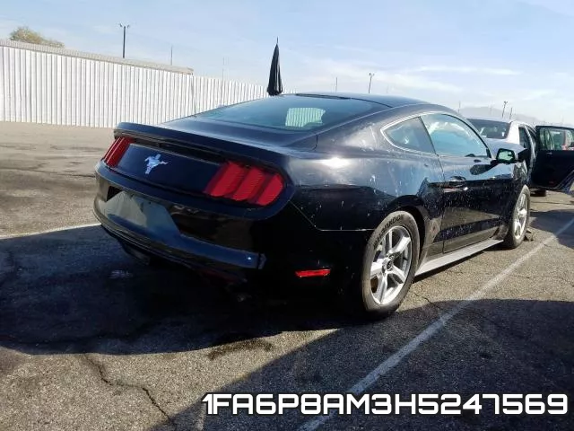 1FA6P8AM3H5247569 фото 5