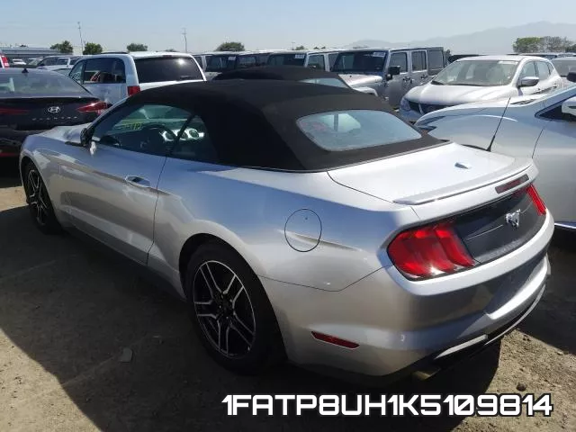 1FATP8UH1K5109814 фото 4