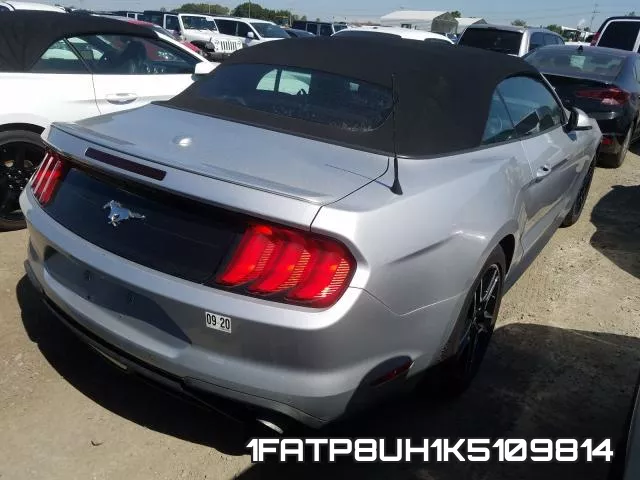 1FATP8UH1K5109814 фото 5