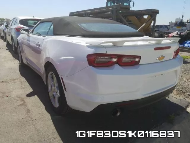 1G1FB3DS1K0116837 фото 4