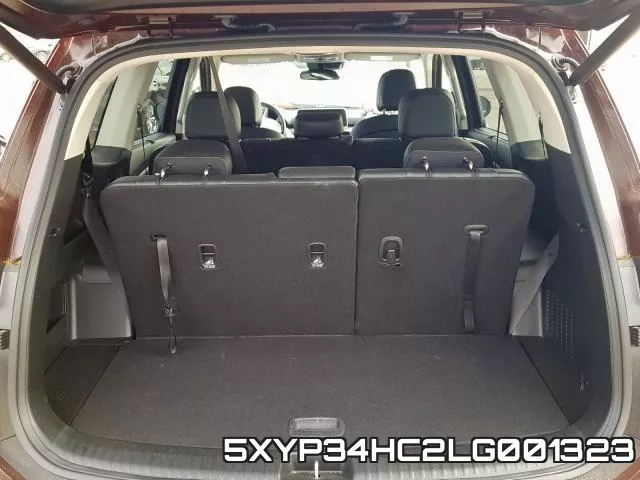 5XYP34HC2LG001323 фото 10