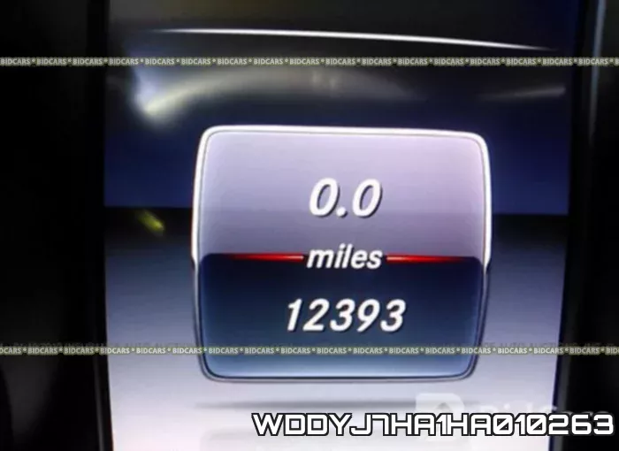 WDDYJ7HA1HA010263 фото 8