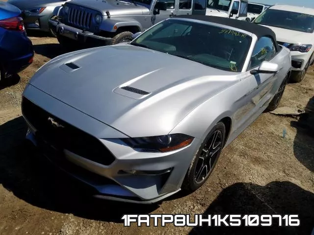 1FATP8UH1K5109716 фото 3