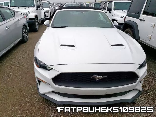 1FATP8UH6K5109825 фото 10