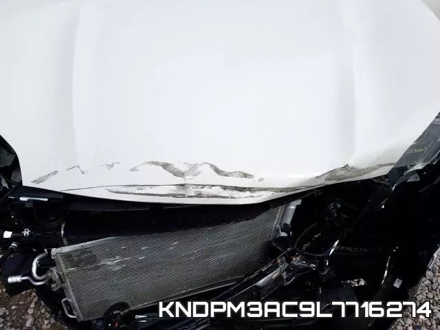 KNDPM3AC9L7716274 фото 8