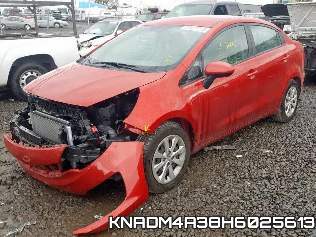 KNADM4A38H6025613 фото 3