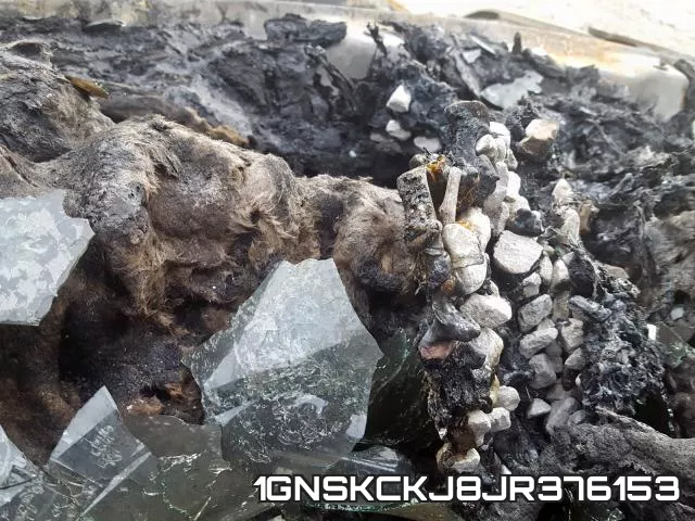 1GNSKCKJ8JR376153 фото 9