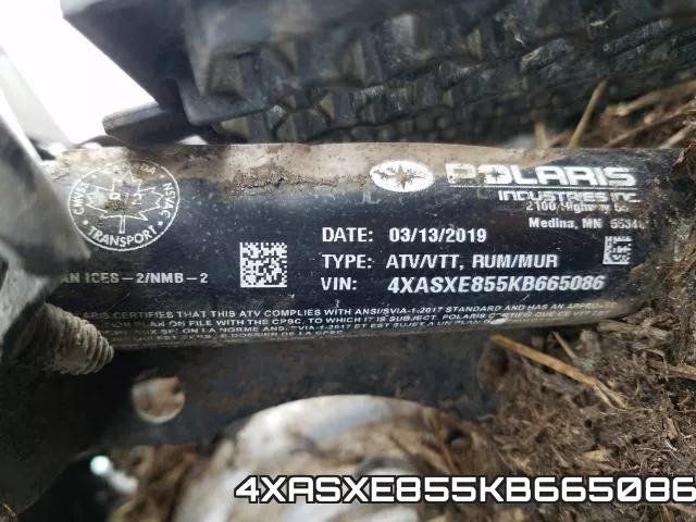 4XASXE855KB665086 фото 2