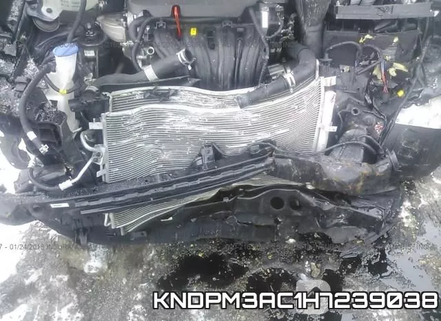 KNDPM3AC1H7239038 фото 7