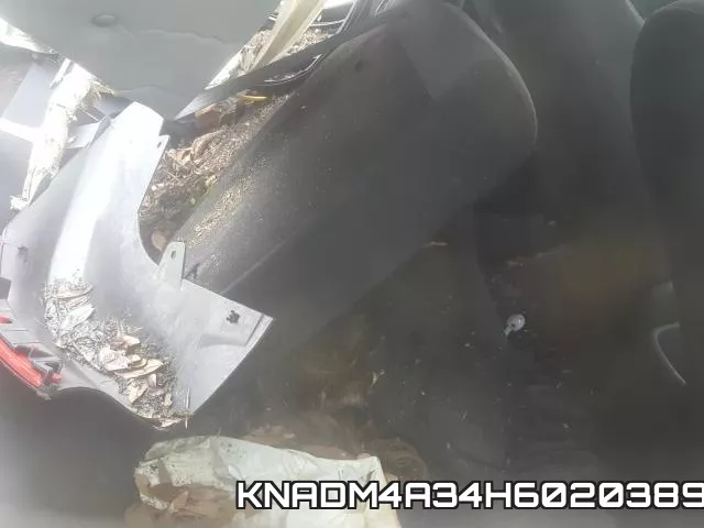 KNADM4A34H6020389 фото 7