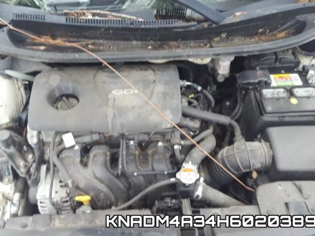 KNADM4A34H6020389 фото 8