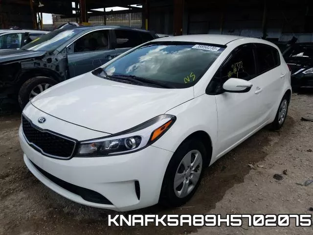 KNAFK5A89H5702075 фото 3