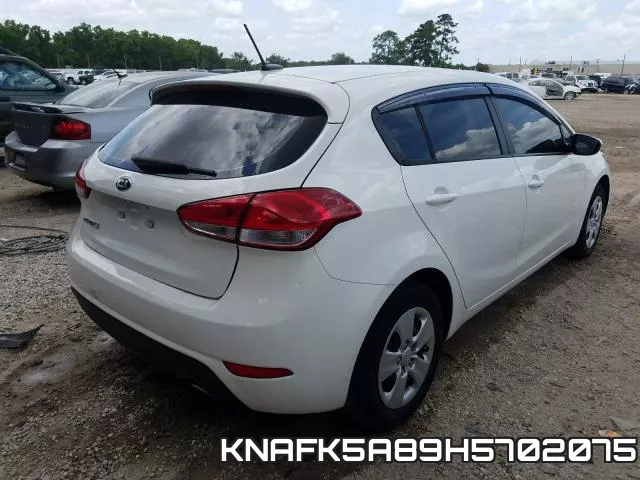 KNAFK5A89H5702075 фото 5