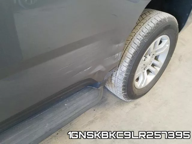 1GNSKBKC9LR257395 фото 10