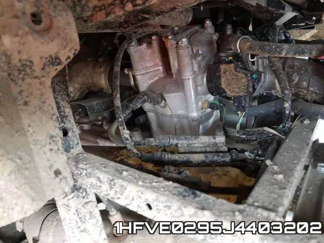 1HFVE0295J4403202 фото 8